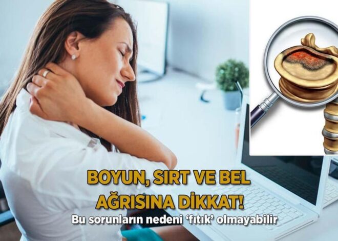 Boyun, sırt ve bel ağrısına dikkat! ‘Bu sorunların nedeni ‘fıtık’ olmayabilir