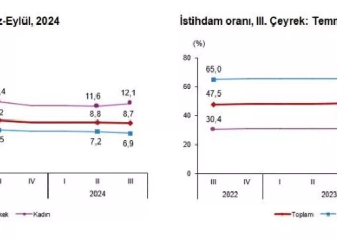 TÜİK 2024 3. Çeyrek İşsizlik Oranını Açıkladı: Yüzde 8,7